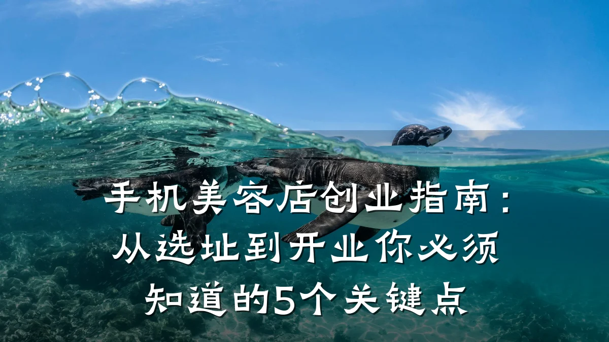手机美容店创业指南:从选址到开业你必须知道的5个关键点