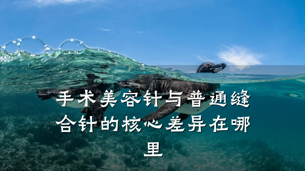 手术美容针与普通缝合针的核心差异在哪里