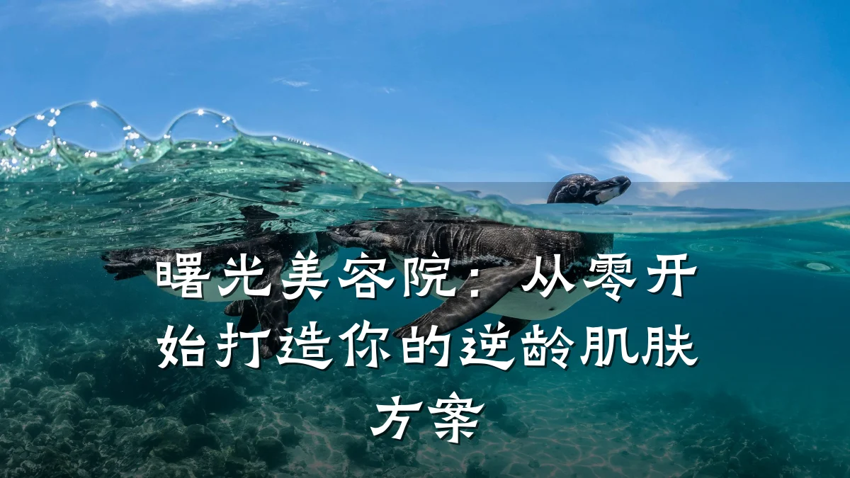 曙光美容院：从零开始打造你的逆龄肌肤方案