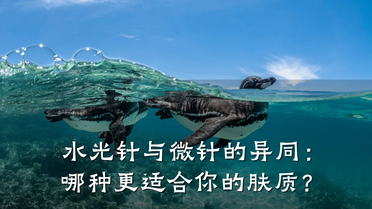 水光针与微针的异同：哪种更适合你的肤质？