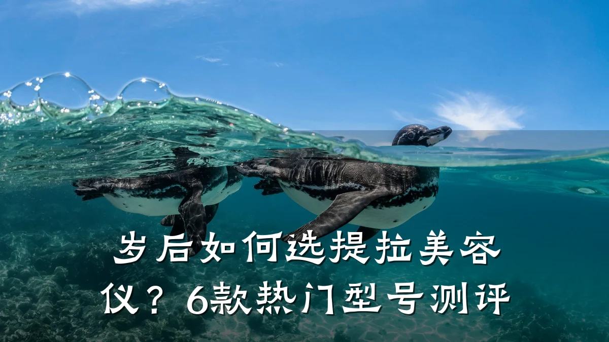 岁后如何选提拉美容仪?6款热门型号测评