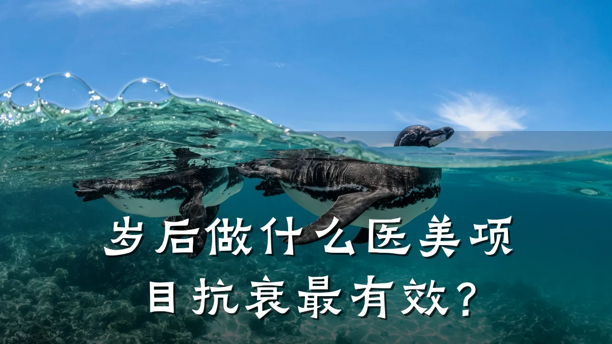 岁后做什么医美项目抗衰最有效?