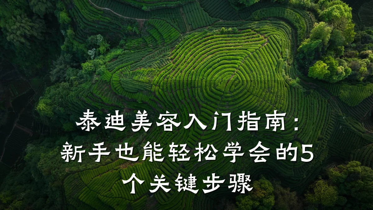 泰迪美容入门指南:新手也能轻松学会的5个关键步骤