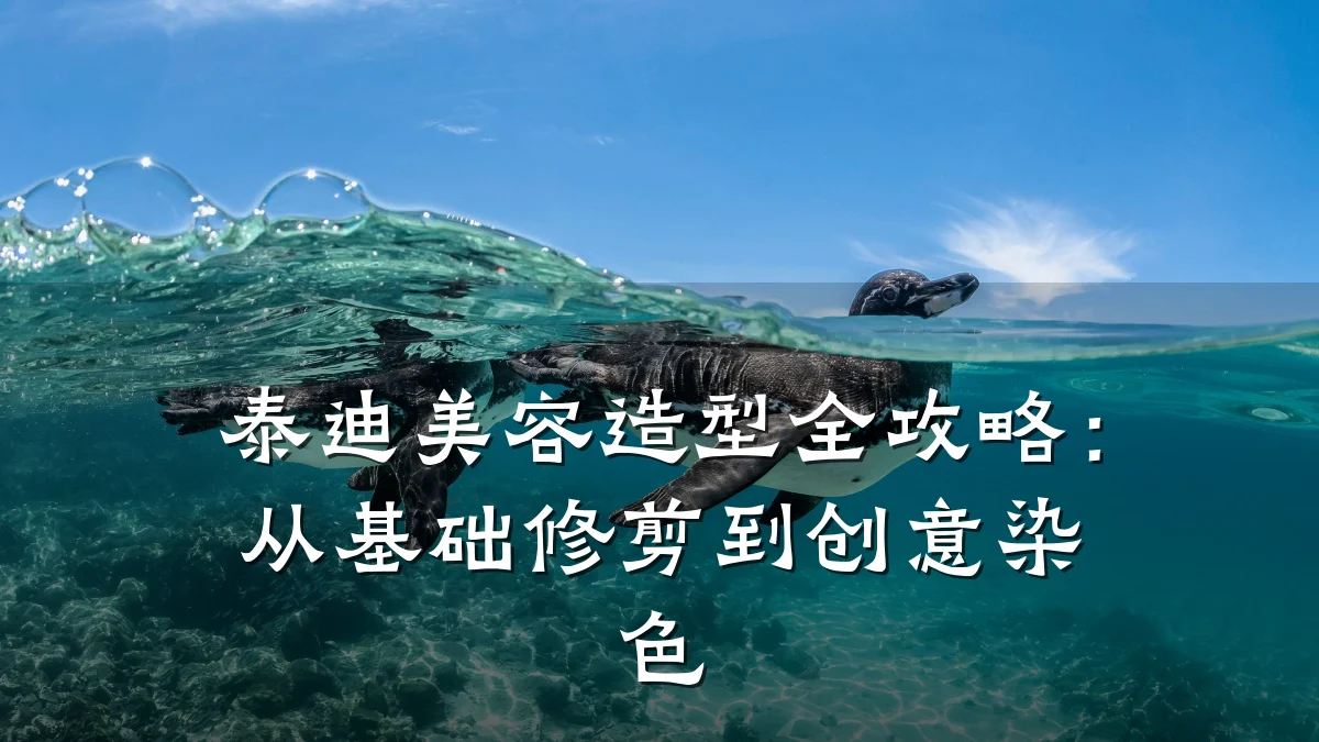 泰迪美容造型全攻略:从基础修剪到创意染色