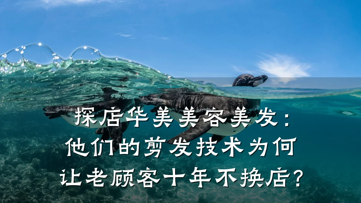 探店华美美容美发：他们的剪发技术为何让老顾客十年不换店？