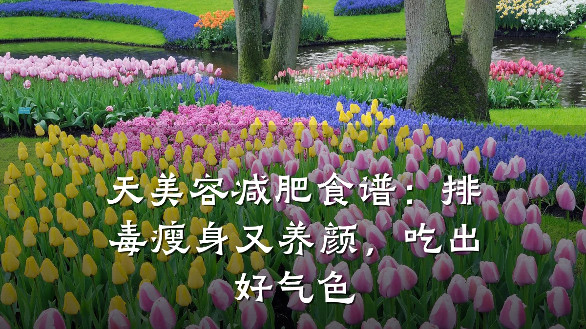 天美容减肥食谱：排毒瘦身又养颜，吃出好气色
