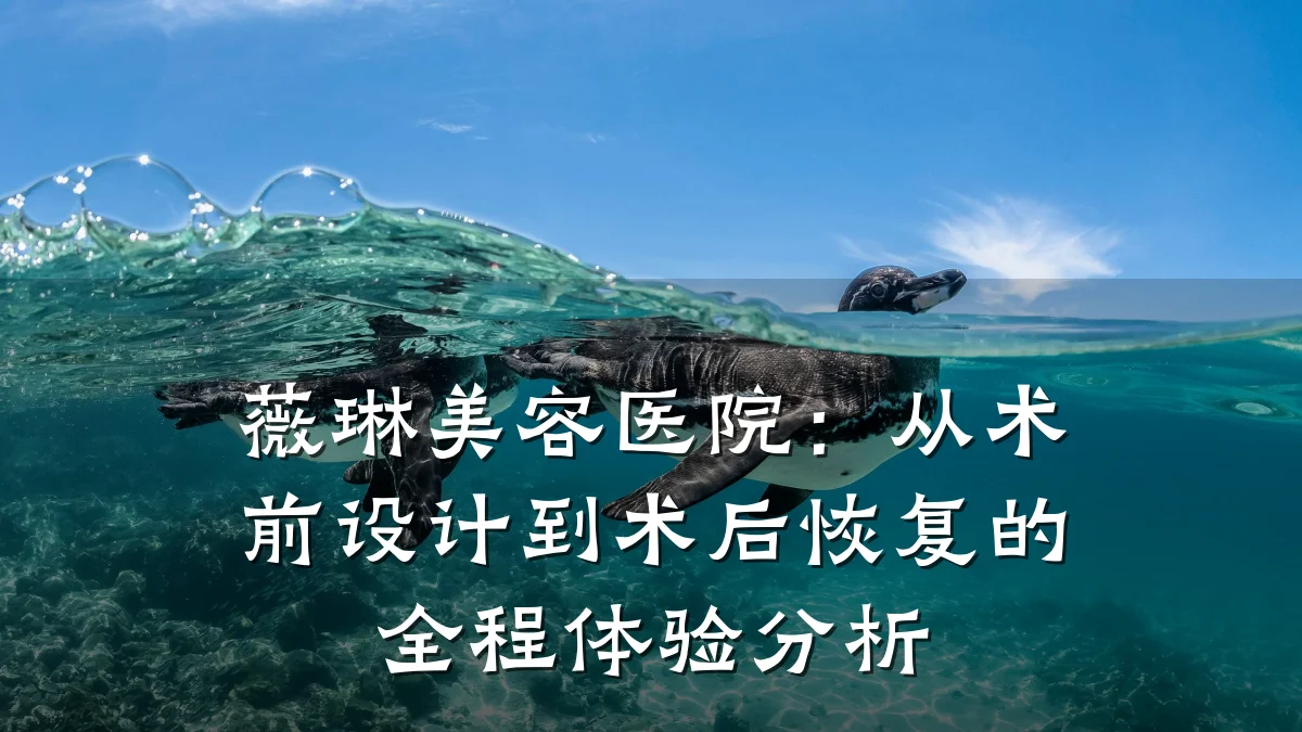 薇琳美容医院：从术前设计到术后恢复的全程体验分析