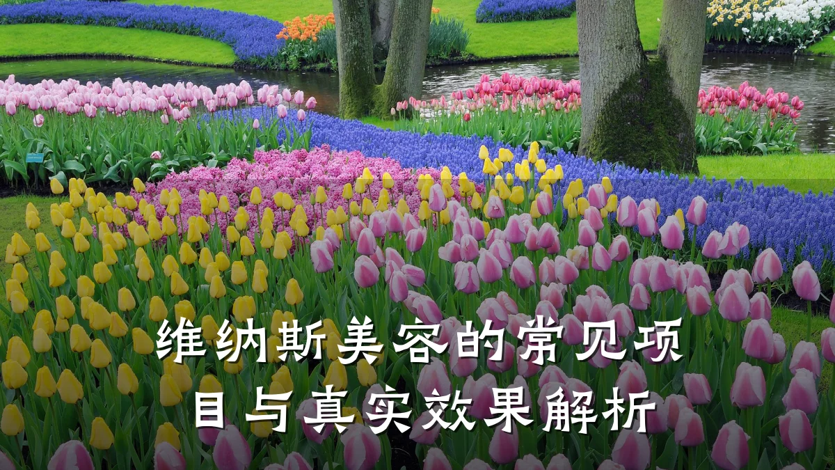 维纳斯美容的常见项目与真实效果解析