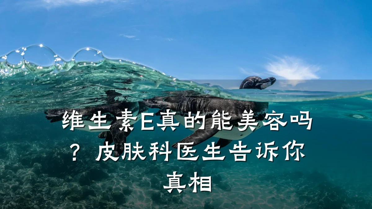 维生素E真的能美容吗？皮肤科医生告诉你真相