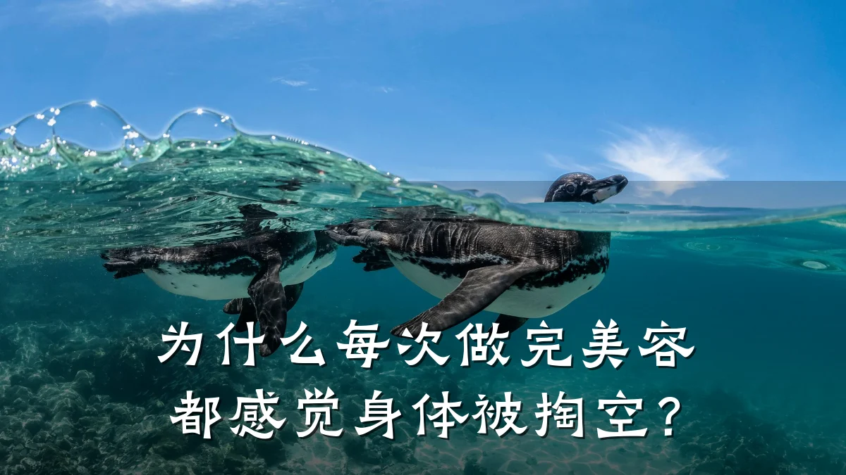 为什么每次做完美容都感觉身体被掏空？