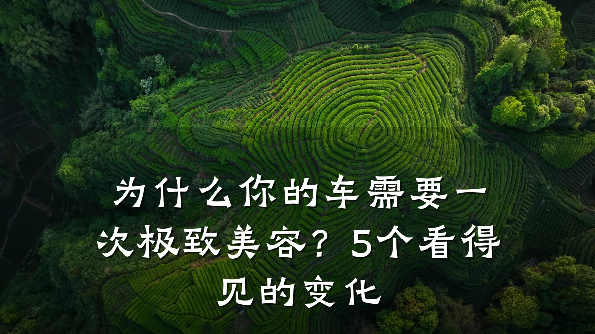 为什么你的车需要一次极致美容？5个看得见的变化