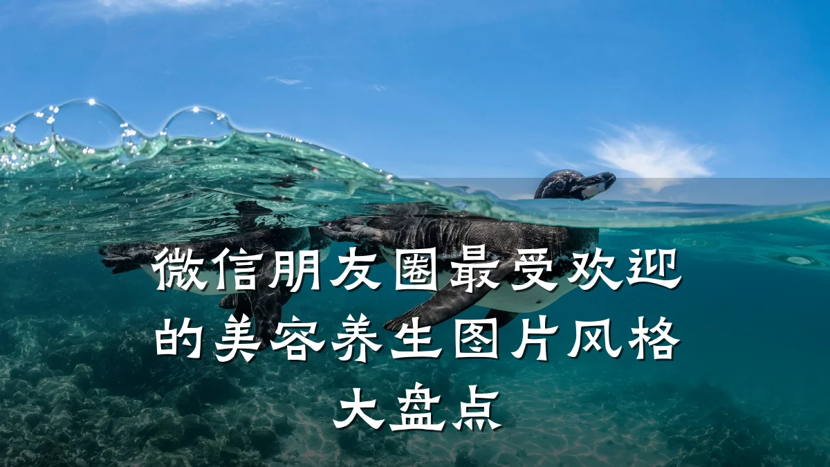 微信朋友圈最受欢迎的美容养生图片风格大盘点
