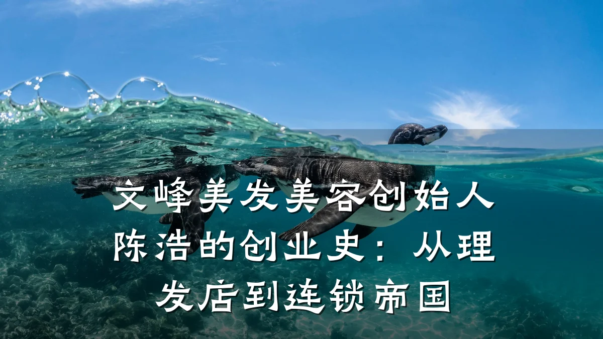 文峰美发美容创始人陈浩的创业史:从理发店到连锁帝国