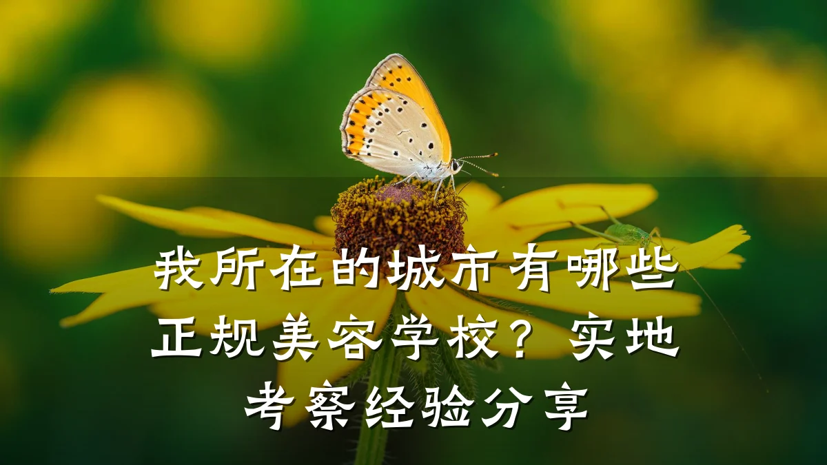 我所在的城市有哪些正规美容学校？实地考察经验分享
