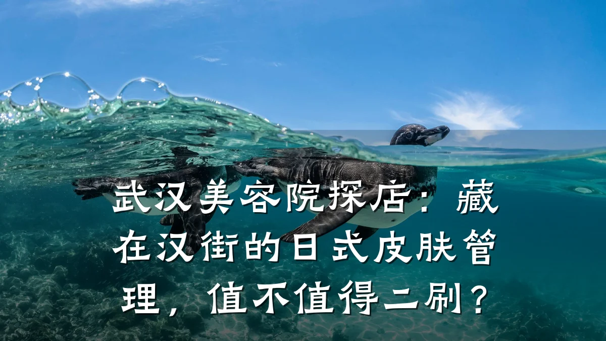 武汉美容院探店:藏在汉街的日式皮肤管理,值不值得二刷?