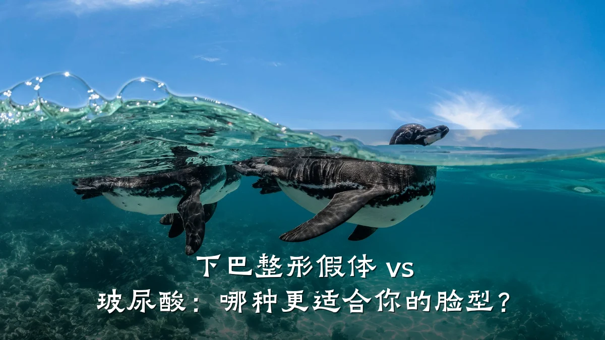 下巴整形假体 vs 玻尿酸：哪种更适合你的脸型？