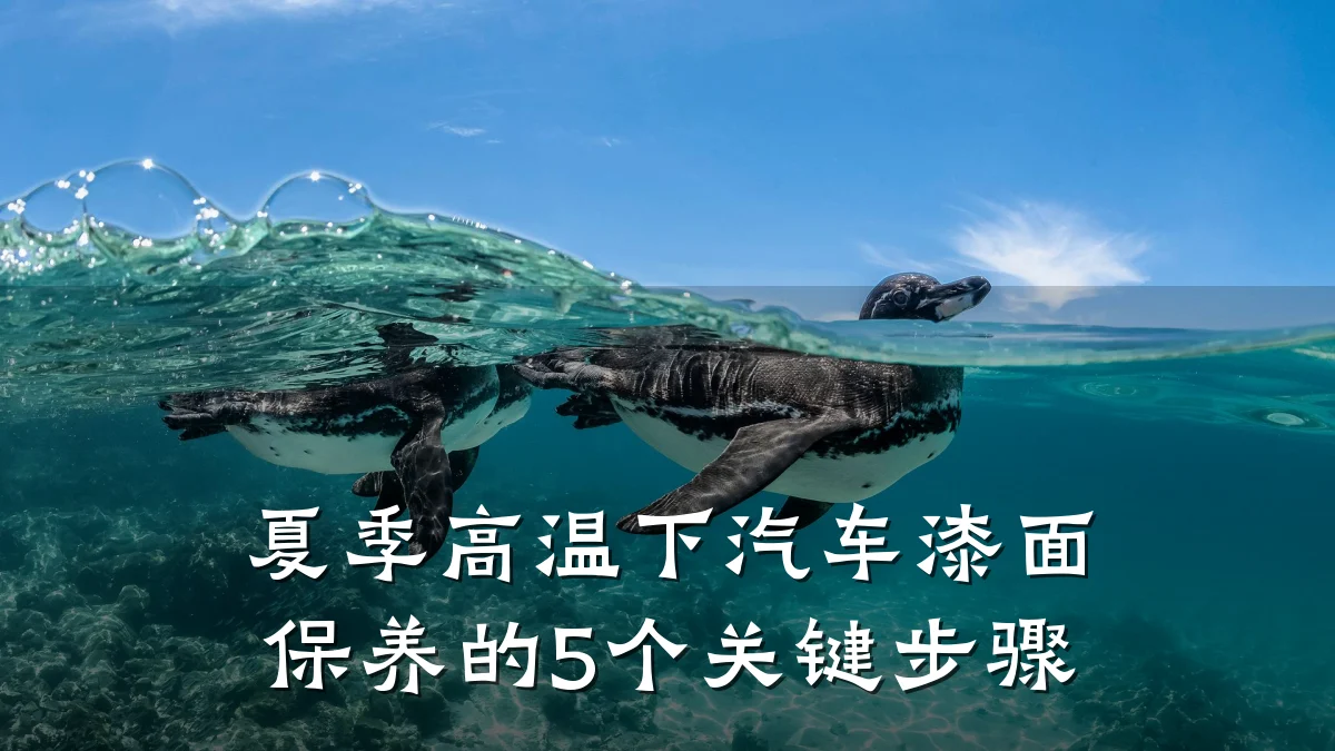 夏季高温下汽车漆面保养的5个关键步骤