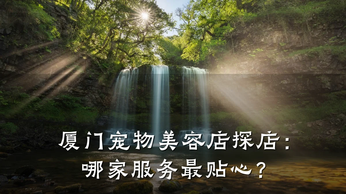 厦门宠物美容店探店：哪家服务最贴心？