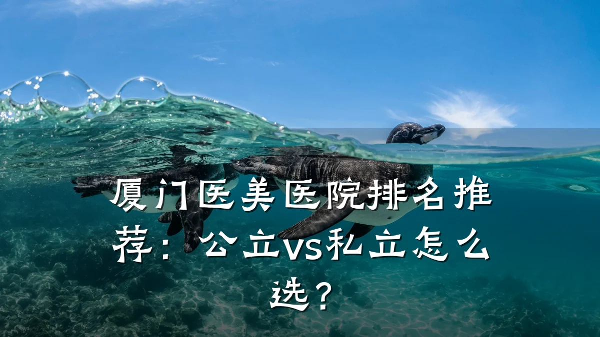 厦门医美医院排名推荐：公立vs私立怎么选？