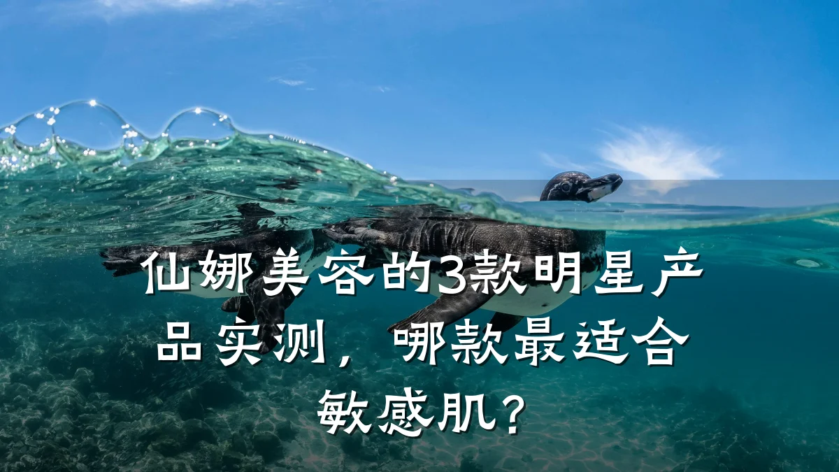仙娜美容的3款明星产品实测，哪款最适合敏感肌？