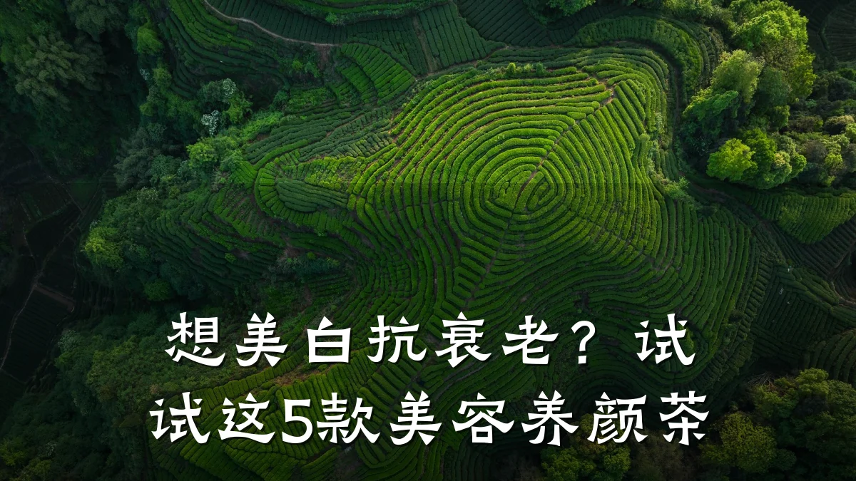 想美白抗衰老？试试这5款美容养颜茶