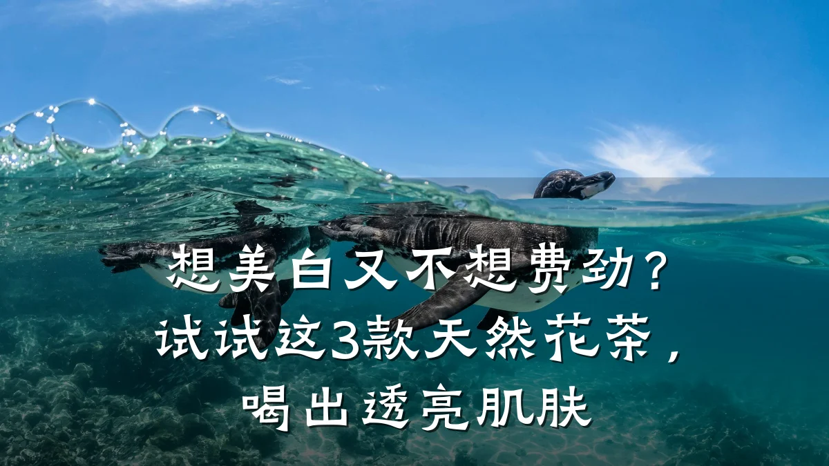 想美白又不想费劲？试试这3款天然花茶，喝出透亮肌肤