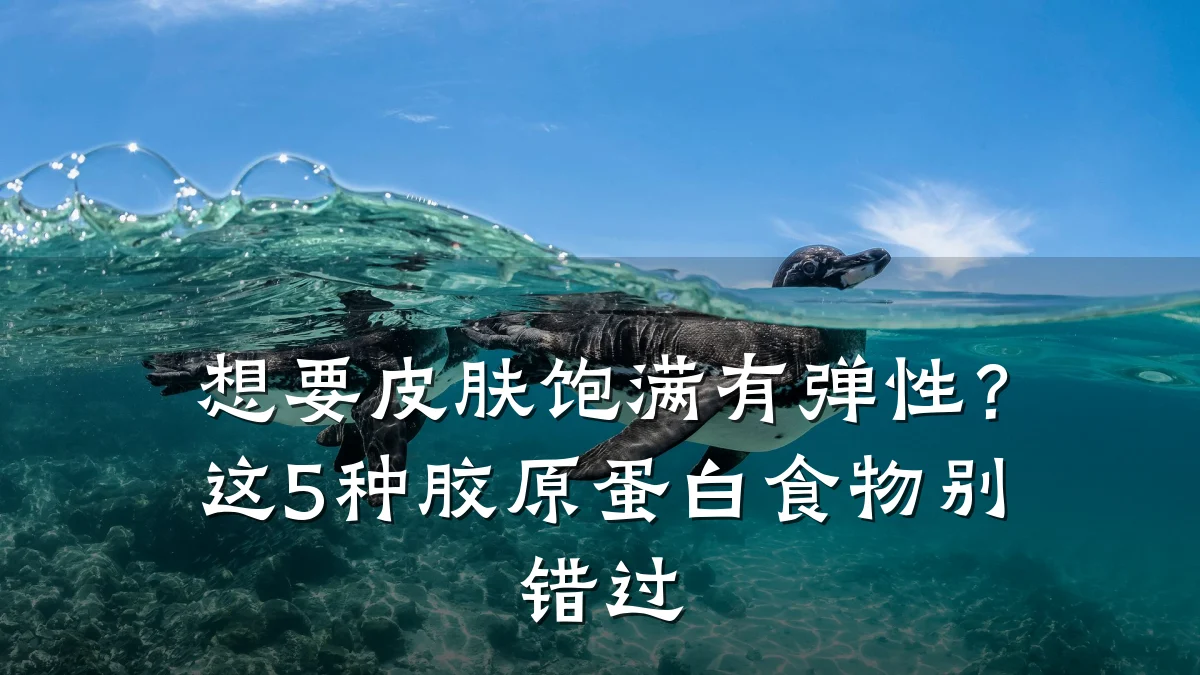 想要皮肤饱满有弹性？这5种胶原蛋白食物别错过