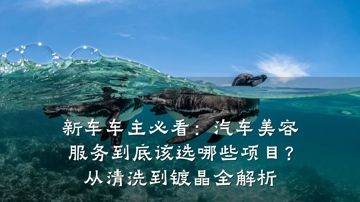 新车车主必看:汽车美容服务到底该选哪些项目?从清洗到镀晶全解析