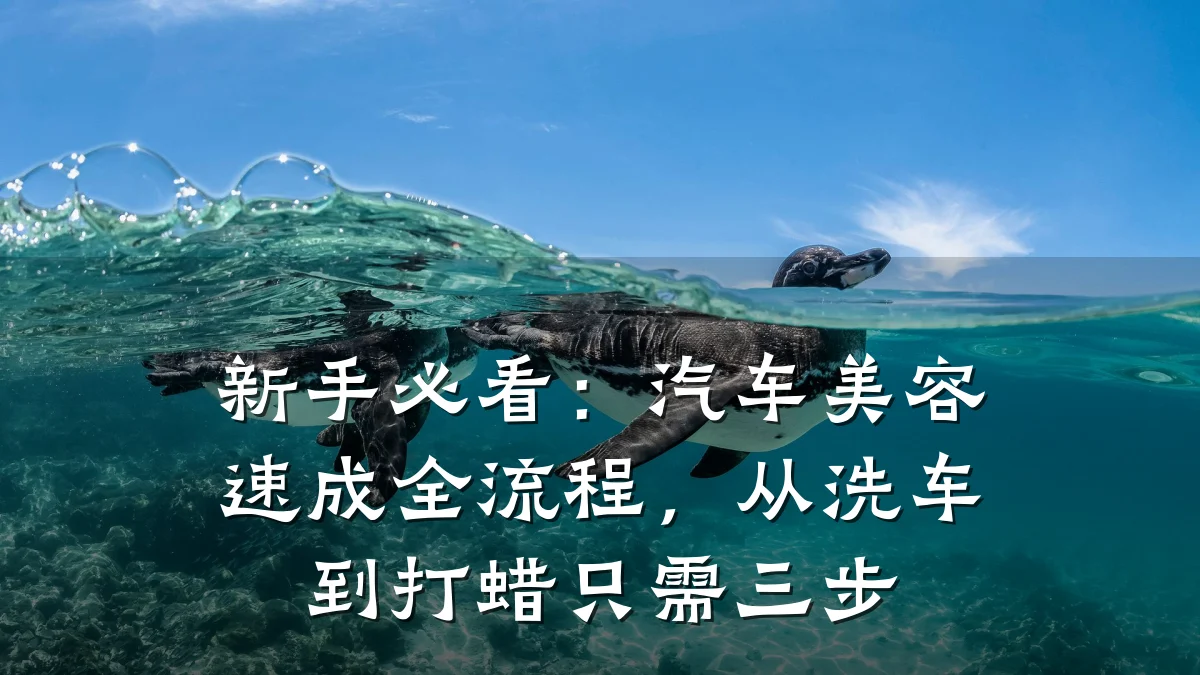 新手必看：汽车美容速成全流程，从洗车到打蜡只需三步