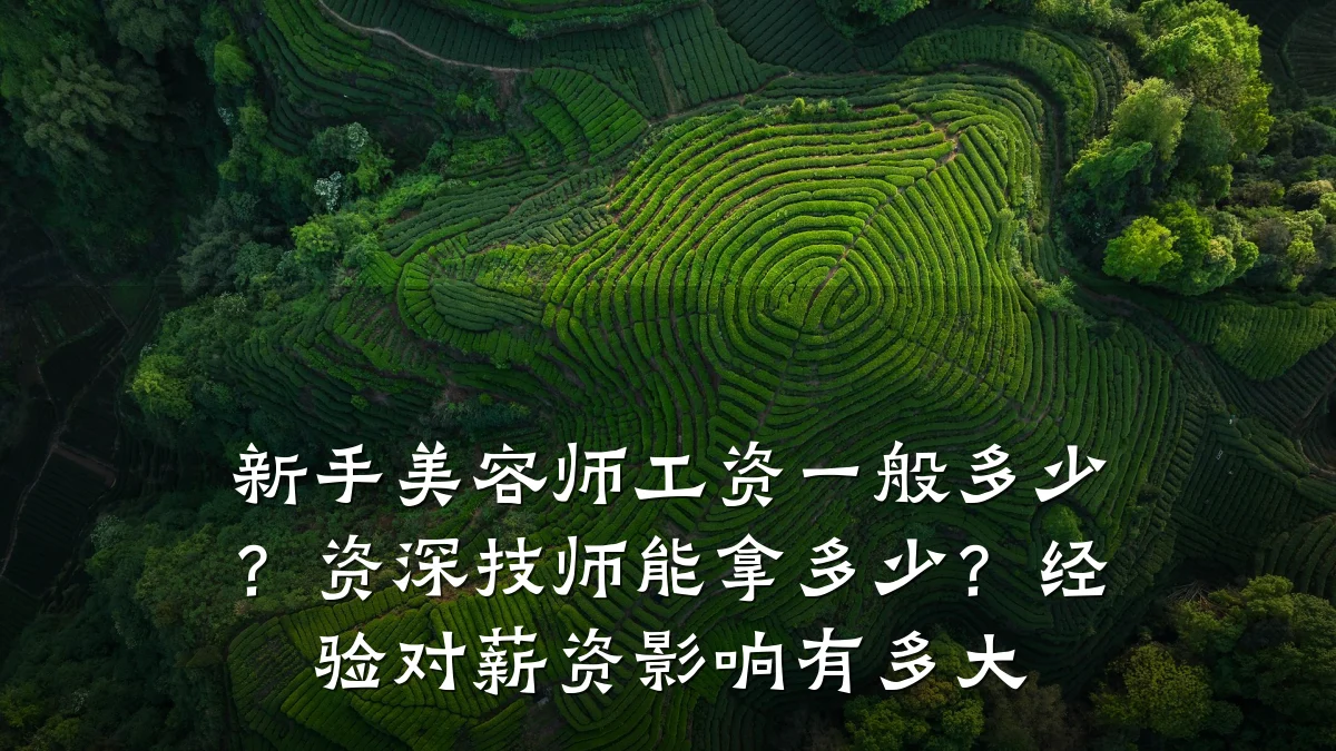 新手美容师工资一般多少？资深技师能拿多少？经验对薪资影响有多大