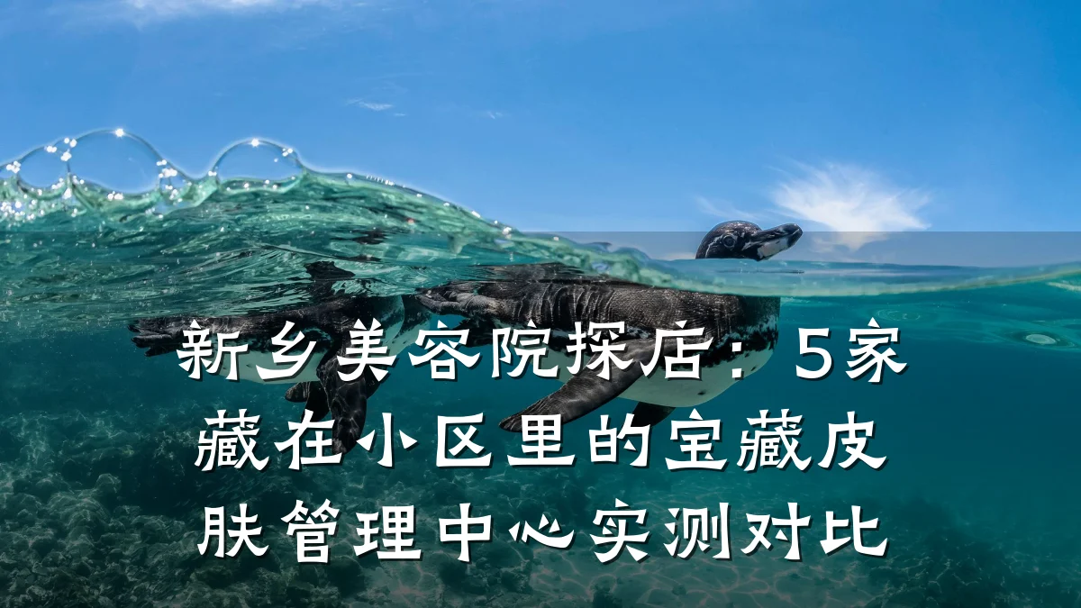 新乡美容院探店：5家藏在小区里的宝藏皮肤管理中心实测对比