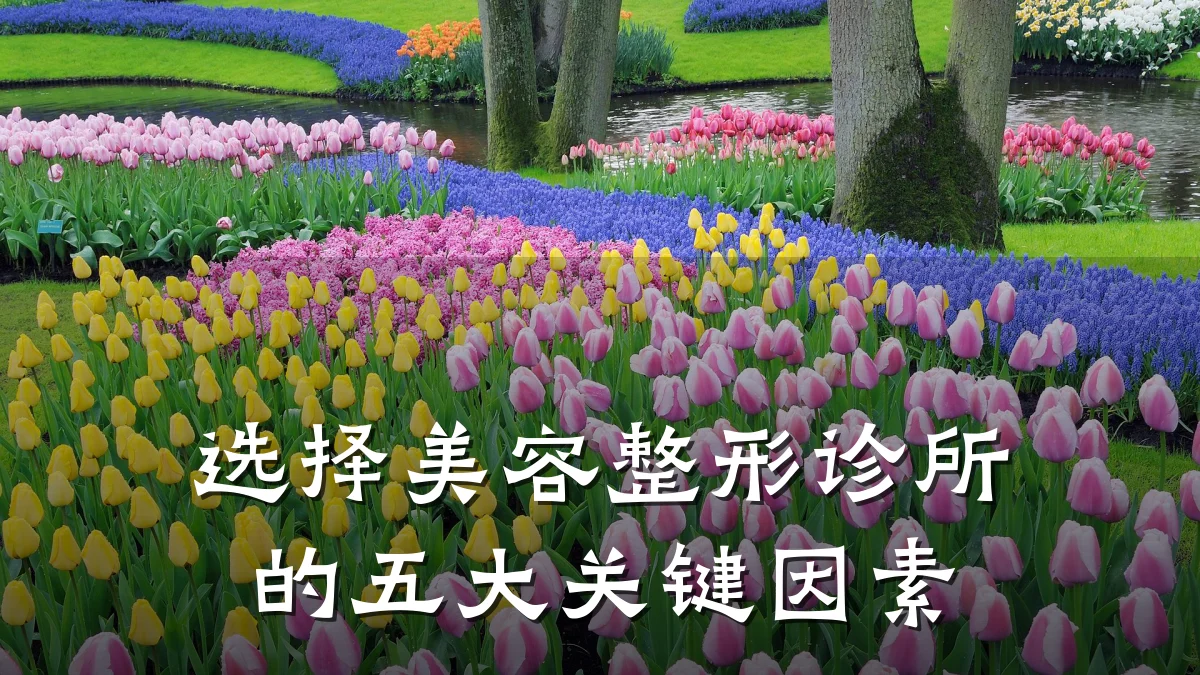 选择美容整形诊所的五大关键因素