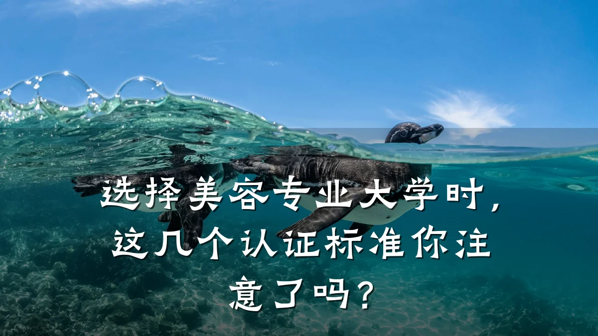 选择美容专业大学时，这几个认证标准你注意了吗？