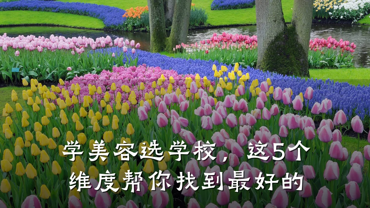 学美容选学校，这5个维度帮你找到最好的