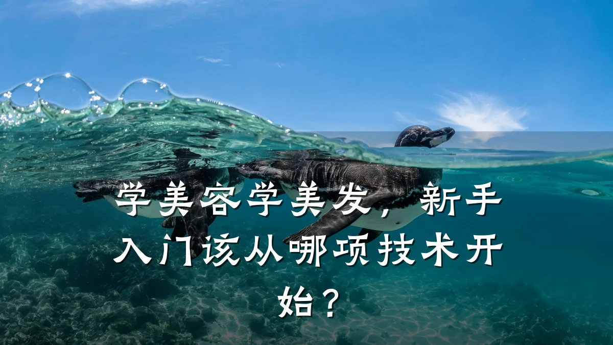 学美容学美发,新手入门该从哪项技术开始?