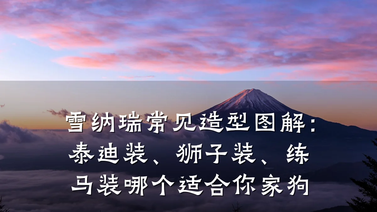 雪纳瑞常见造型图解：泰迪装、狮子装、练马装哪个适合你家狗