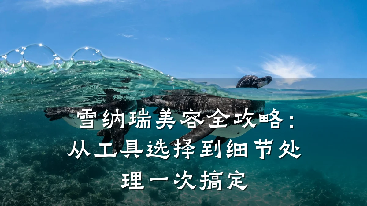 雪纳瑞美容全攻略:从工具选择到细节处理一次搞定
