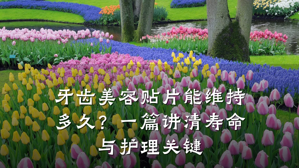 牙齿美容贴片能维持多久？一篇讲清寿命与护理关键