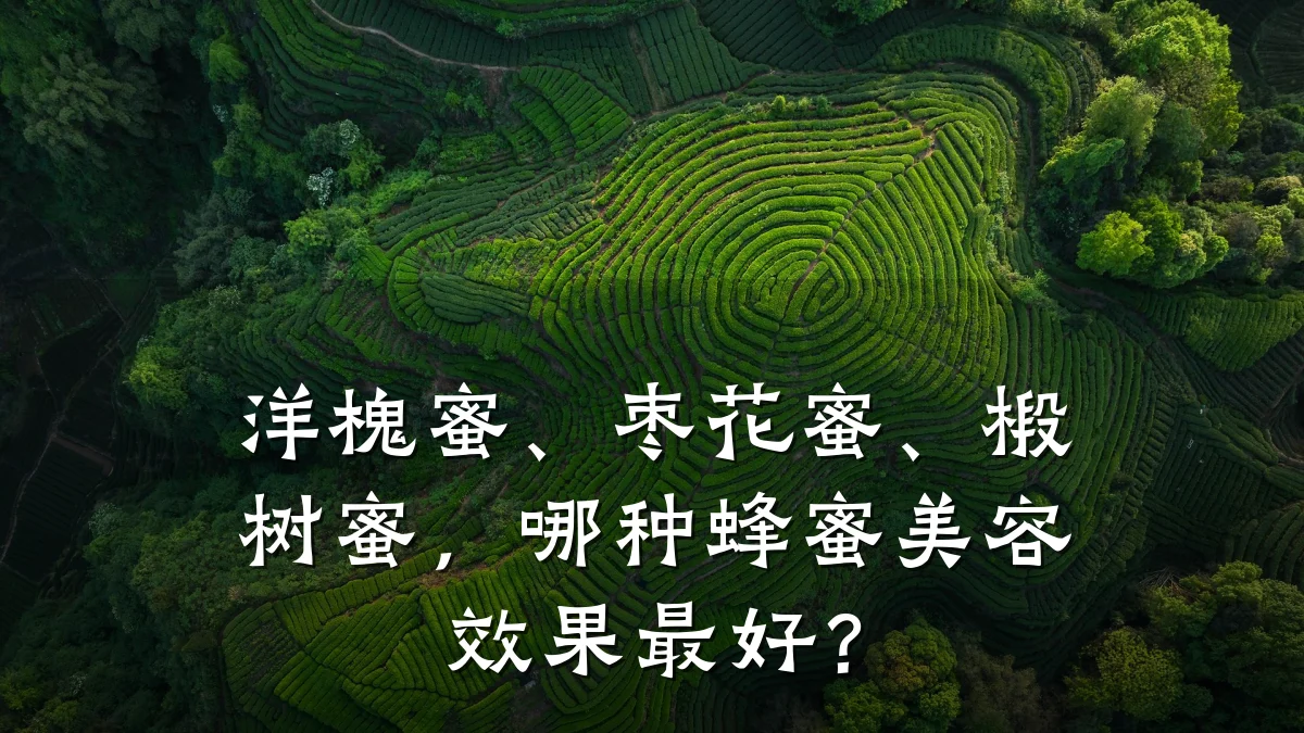 洋槐蜜、枣花蜜、椴树蜜，哪种蜂蜜美容效果最好？