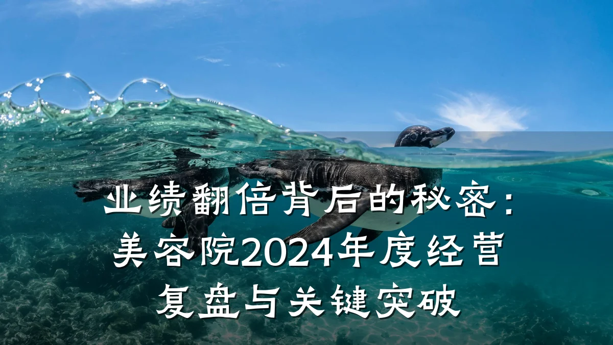 业绩翻倍背后的秘密：美容院2024年度经营复盘与关键突破
