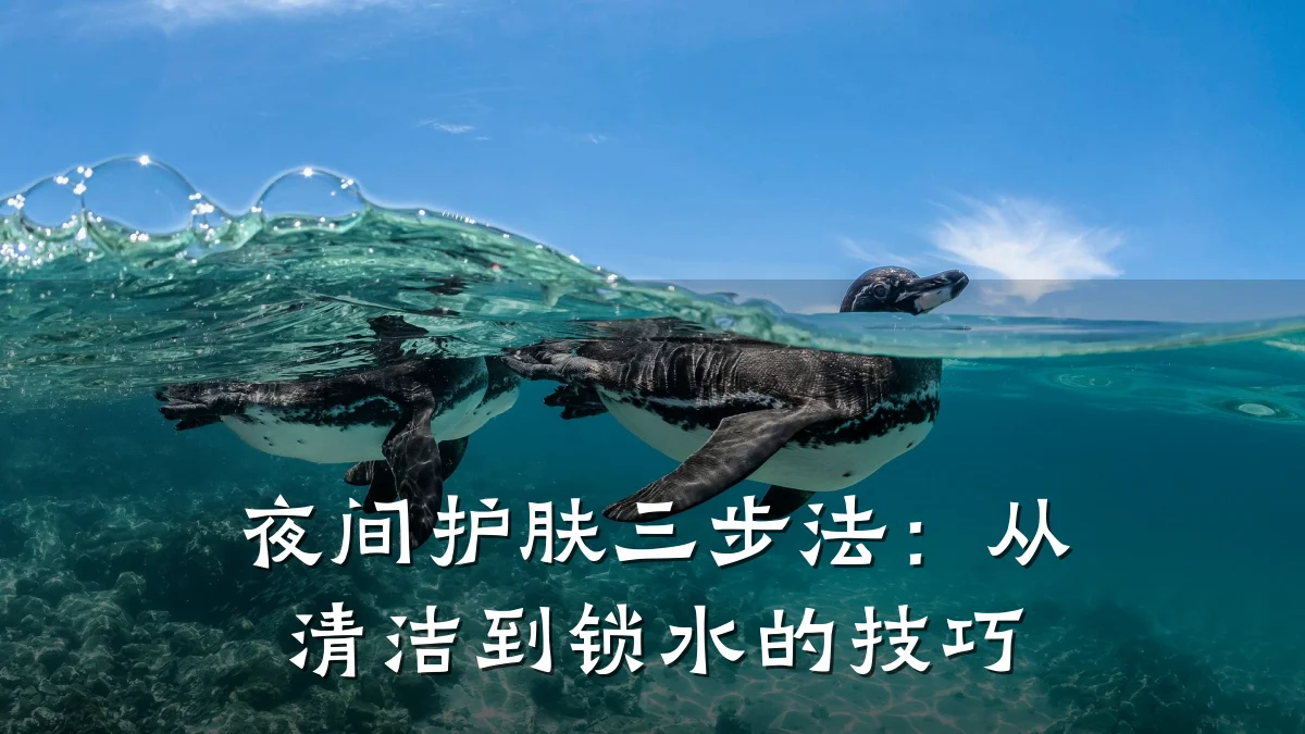 夜间护肤三步法：从清洁到锁水的技巧