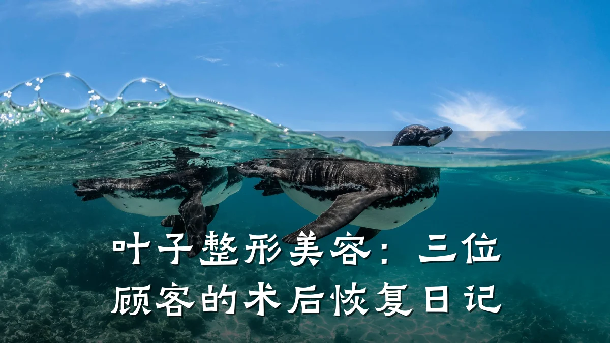 叶子整形美容：三位顾客的术后恢复日记