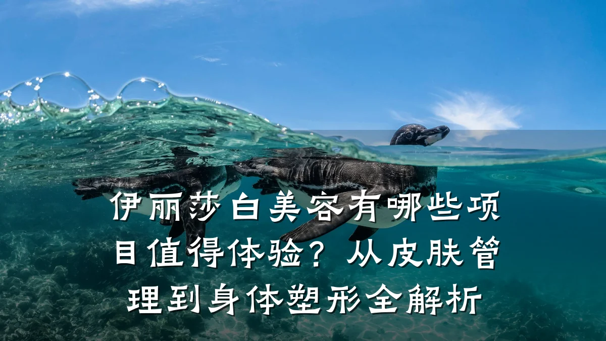 伊丽莎白美容有哪些项目值得体验？从皮肤管理到身体塑形全解析