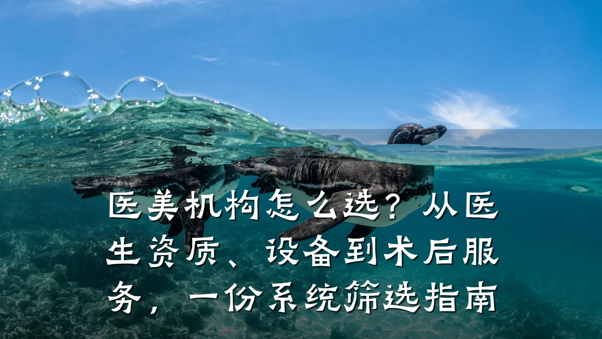 医美机构怎么选?从医生资质、设备到术后服务,一份系统筛选指南