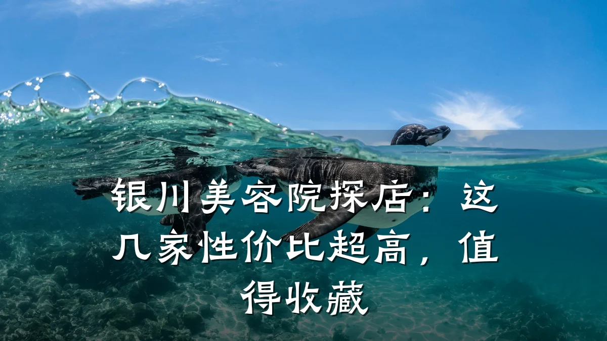 银川美容院探店:这几家性价比超高,值得收藏