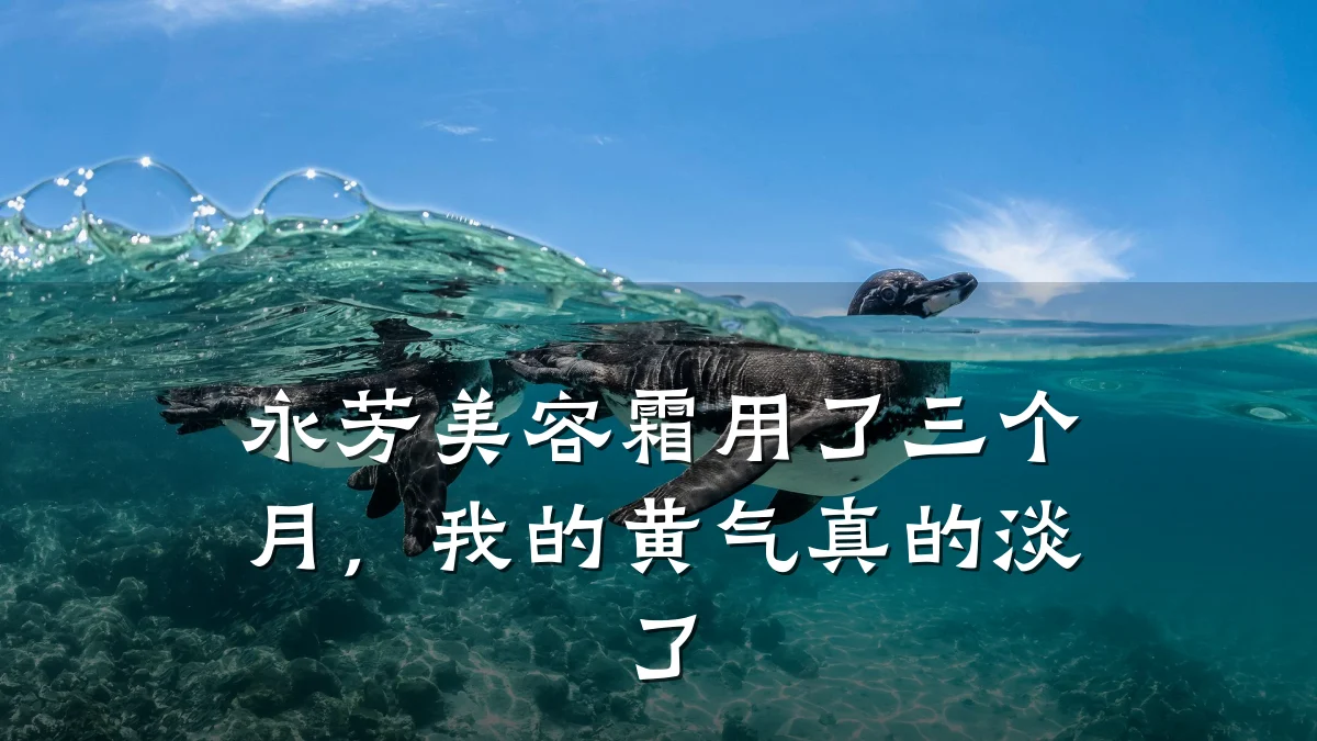 永芳美容霜用了三个月，我的黄气真的淡了