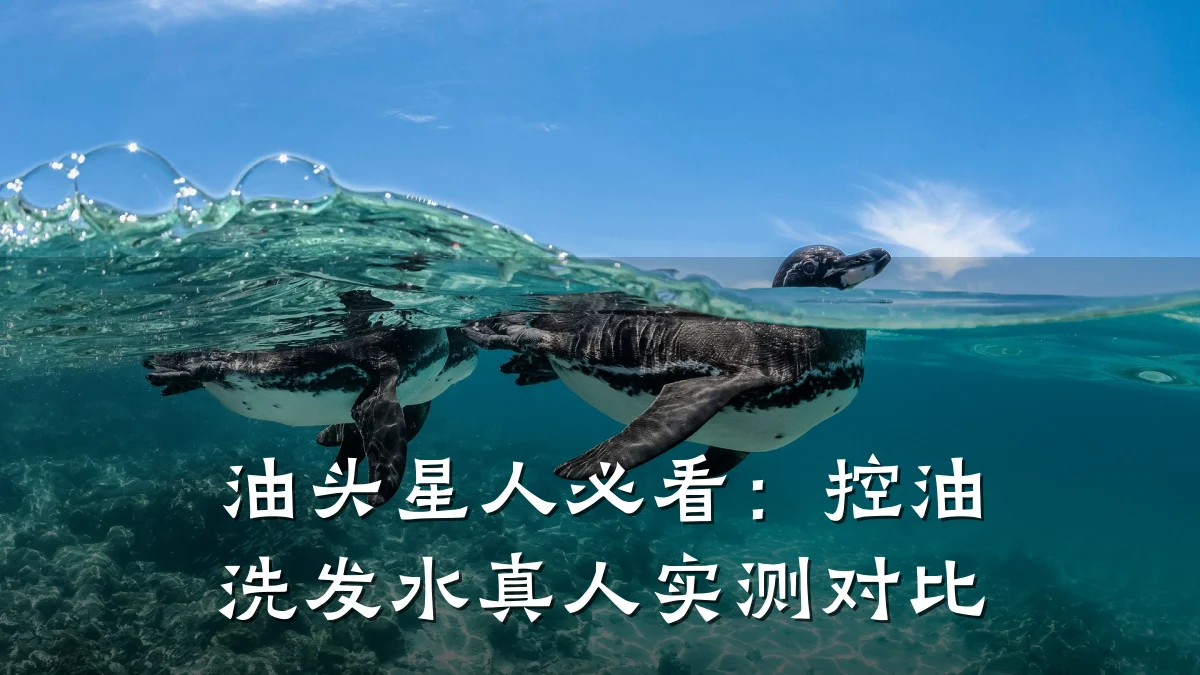 油头星人必看：控油洗发水真人实测对比