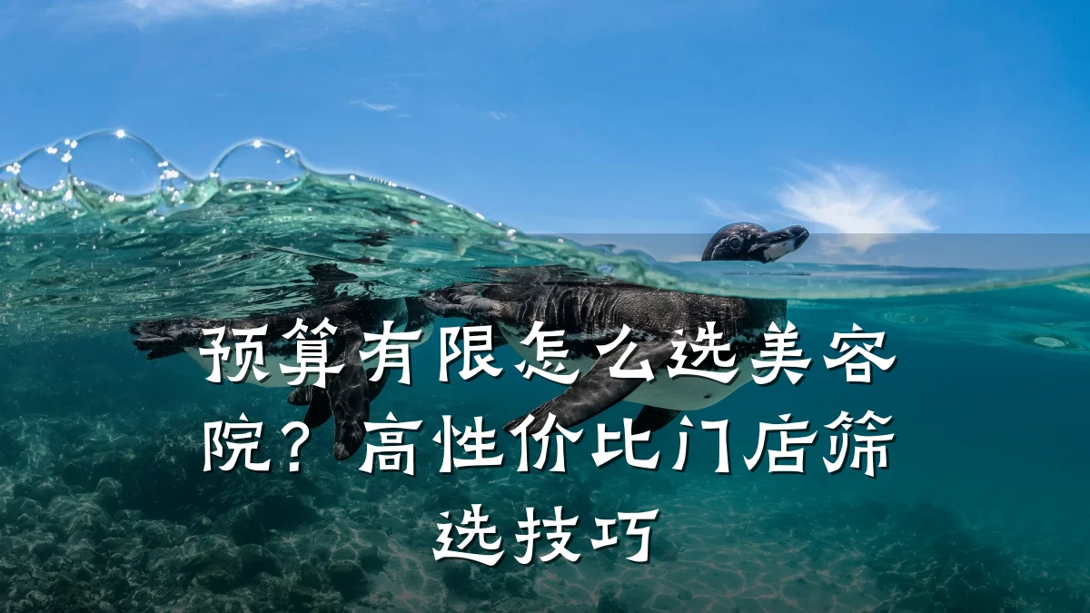 预算有限怎么选美容院?高性价比门店筛选技巧