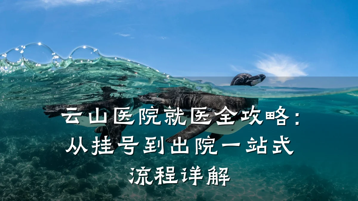 云山医院就医全攻略：从挂号到出院一站式流程详解