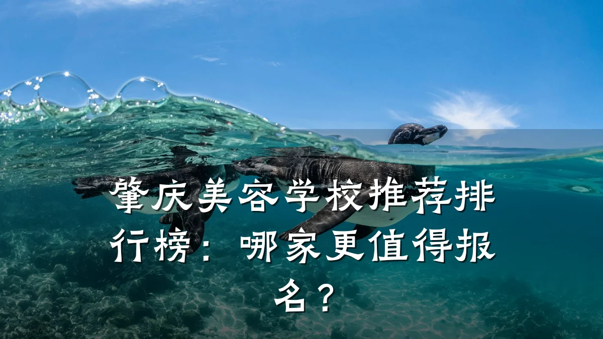 肇庆美容学校推荐排行榜：哪家更值得报名？